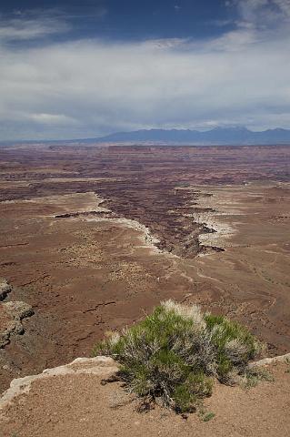 231 Canyonlands National Park, Buck Canyon Overlook.jpg